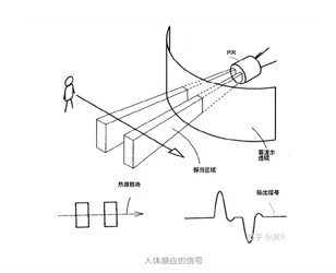 LD乐动